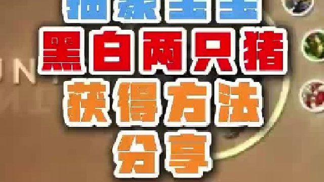 魔兽世界抽象宝宝黑白两只猪获得方法