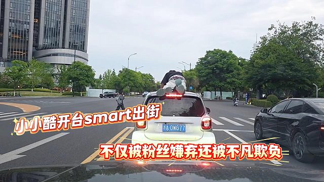 小小酷开台smart出街，不仅被粉丝嫌弃还被不凡欺负