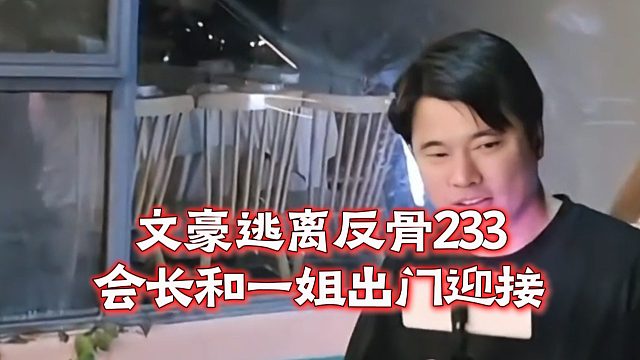 文豪逃离反骨233，会长和一姐出门迎接