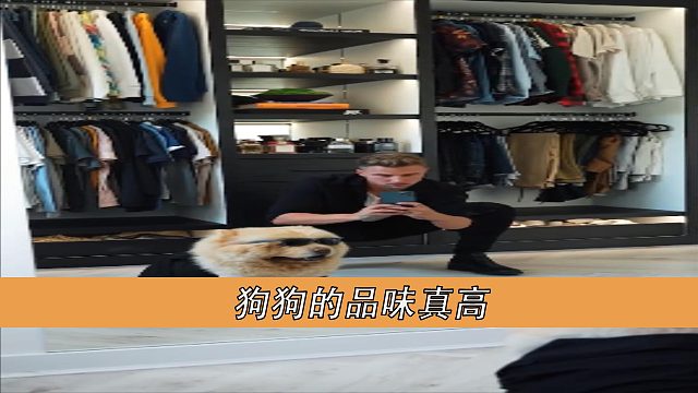狗狗的品味真高