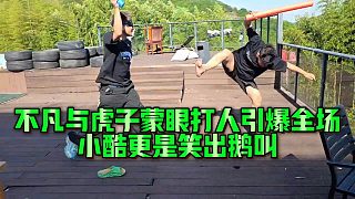 不凡與虎子蒙眼打人引爆全場，小酷更是笑出鵝叫