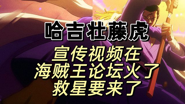 藤虎绝对能给哈吉壮带来绝对流量热度