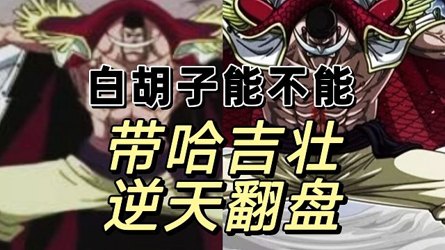 这月白胡子在论坛疯狂讨论，有戏啊