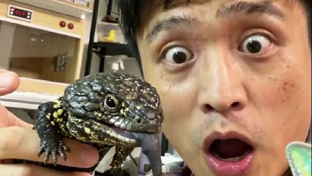 揭秘魔都天价宠物！