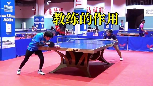 教练的作用