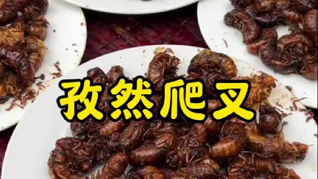 一道硬菜孜然爬叉，焦香酥脆，越嚼越香
