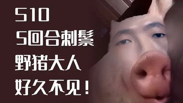 5回合刺鬃来，野猪大人，好久不见！