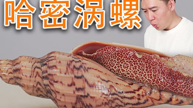 能当工艺品的涡螺，我都不舍得吃，黑松露炒嘎嘎香