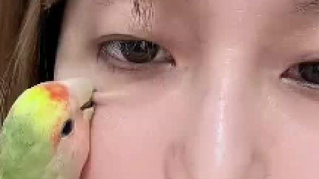 女子养了两只鹦鹉，鹦鹉咬住自己脸上的黑痣不放 来回摩擦