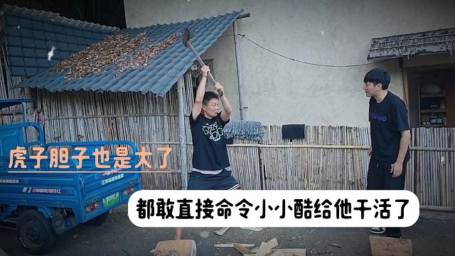 虎子胆子也是大了，都敢直接命令小小酷给他干活了