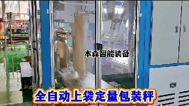 全自动上袋定量包装秤