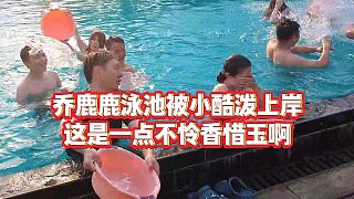 【小小小酷哥】喬鹿鹿泳池被小酷潑上岸，這是一點不憐香惜玉啊