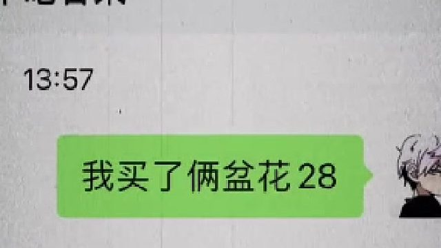 《两盆花》