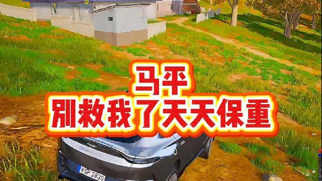 马平：别救我了天天保重