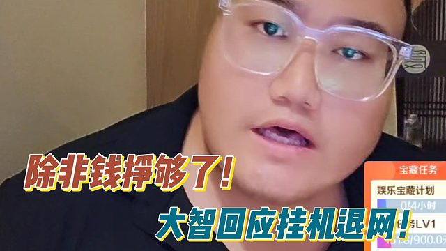 大智回应粉丝挂机退网猜测！除非钱挣够了！