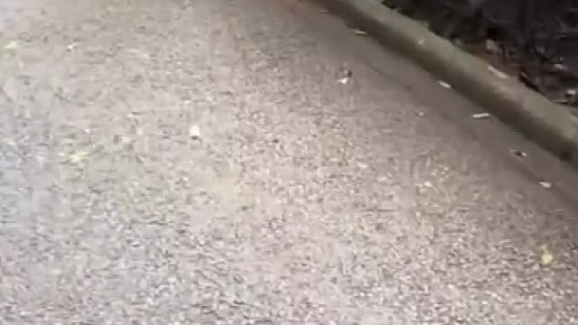 我好像发现了不得了的事情