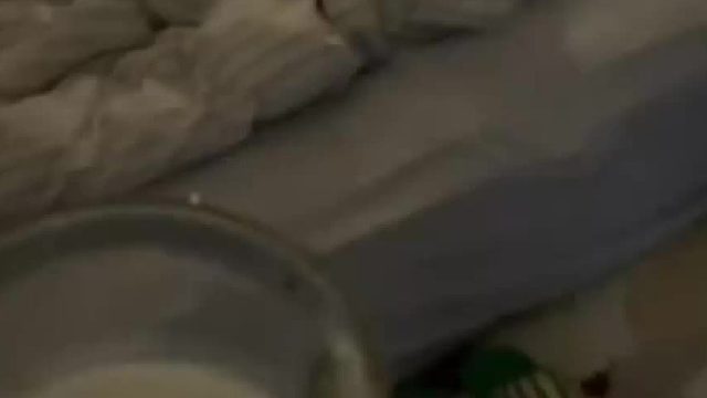 川渝濒危物种