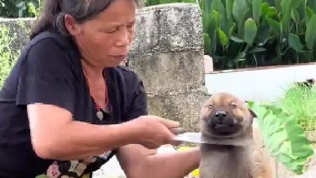 小黑嘴：今天第一次玩有点紧张了哈