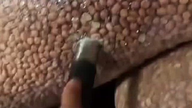 不是所有农民都是善良淳朴的