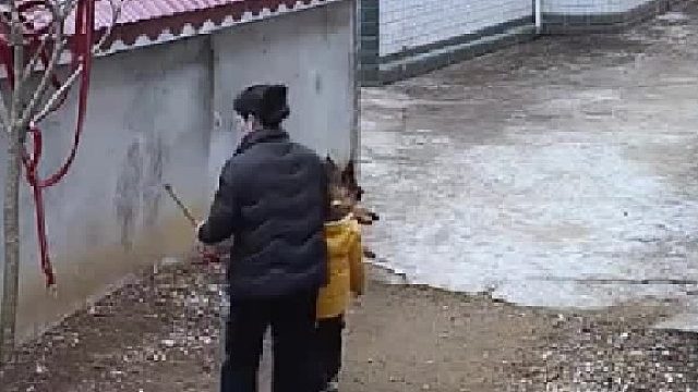 它腿怎么了