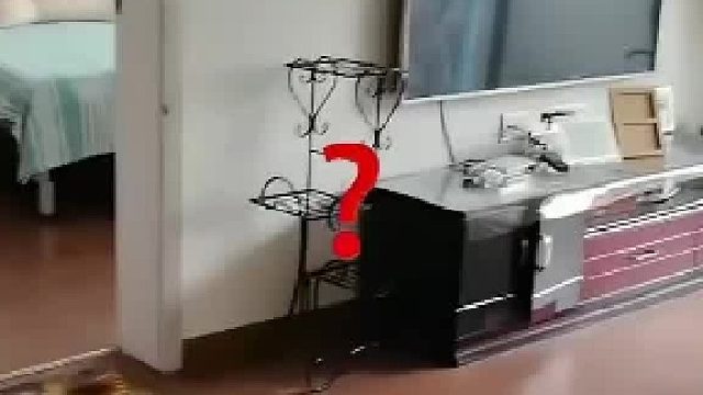 父母qu世了，上父母家开门仿佛听到一声清晰的回答