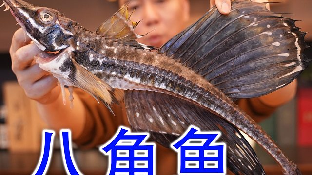 海鲜市场买不到的鱼，身披铠甲油脂丰厚，绝了！