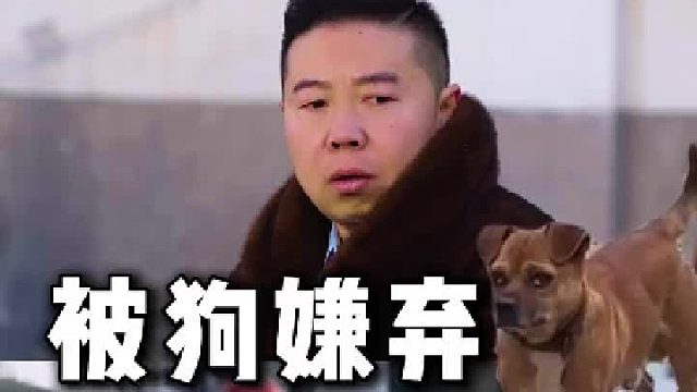 男人混的差，狗狗都嫌弃哎 
