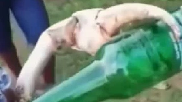 本来想表演个夹瓶子，结果拿起瓶子就喝