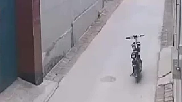 可能小鸟在救他，错过几秒另一个结局