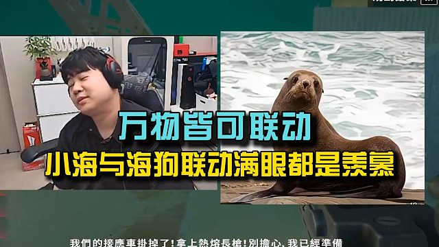 万物皆可联动!4am小海与海狗联动满眼都是羡慕!