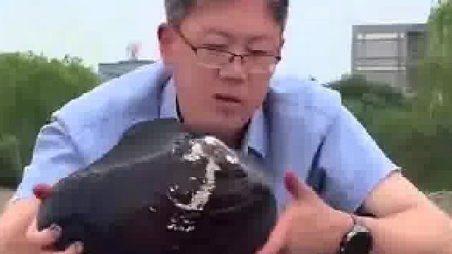 教授想起多年前，在学校湖里养的一个蚌，跟同学们一起寻找…