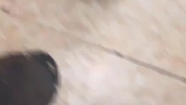 嫂子，我想吃饺子