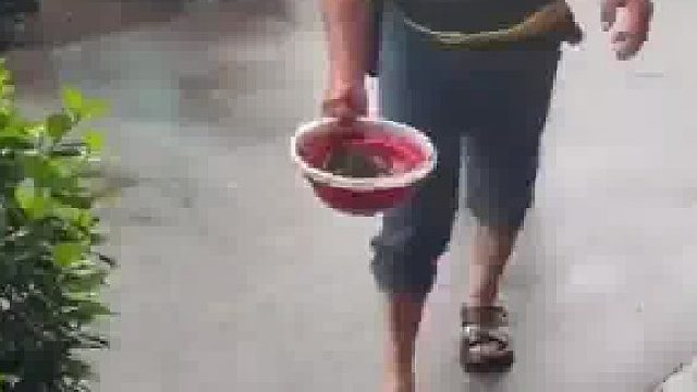 夫妻俩开饭店时要的鱼虾少，很多老板不愿送货，只有他不嫌饭店小，无论刮风下雨都准时送达