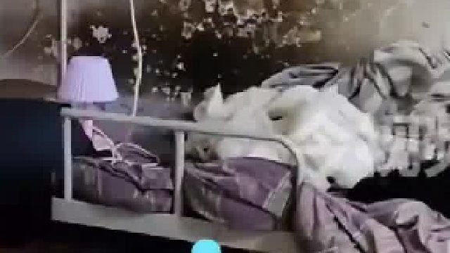 小伙晒出工厂室友床铺，“他已经住了6年了一直都这样”