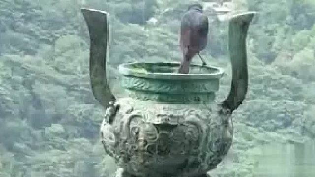 见者皆福！武当山南岩宫龙头香“青龙”“朱雀”难得同框