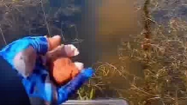 女生在河边钓鱼，绿皮火车司机探出头问她行不行！  ​