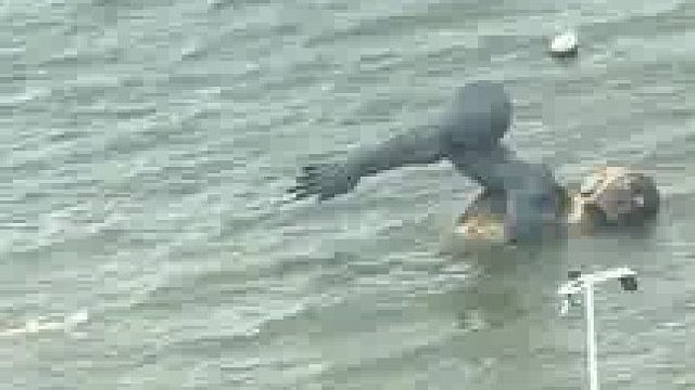 涨潮后的金沙湾把整片沙滩淹没了，沙滩上的游泳雕塑终于“游”到了水里