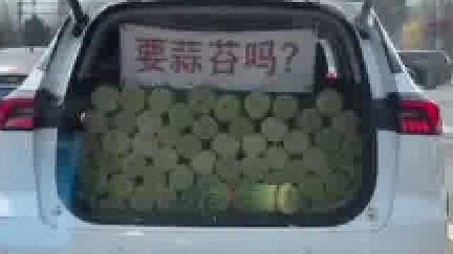 夏日出游就得去河南！前方车辆突然打开后备箱，满满一车厢蒜苔