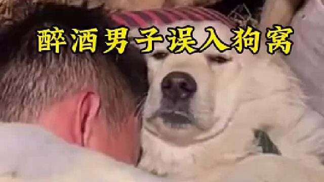 狗媳妇也不乐意的样子