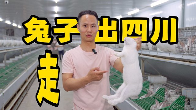 厨师长分享：自贡的兔子怎样才能“走”出四川