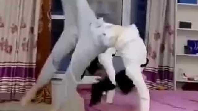 分清了一个老婆，分不清楚俩个老婆