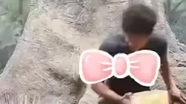 豪猪见到男子自动收起针，为了不伤到，竟知道在一边蹭！