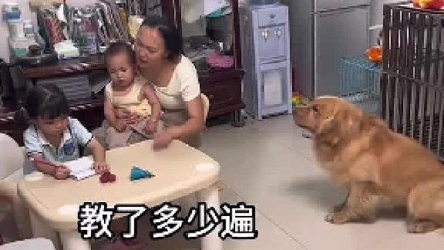 妈妈教孩子写作业，狗子在旁边帮忙结果......狗：完了 这题冲我来的