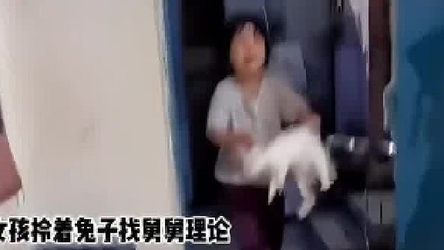 兔子跑的太快撞门上晕了过去，舅舅以为它完蛋了 开始剥葱，没想到葱刚剥完兔子就醒来了