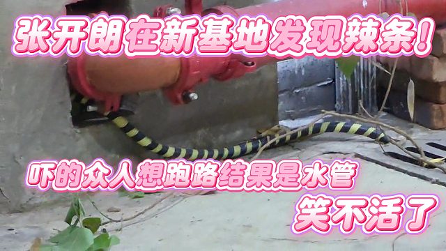 【集梦张开朗【233】】张开朗在新基地发现辣条!吓的众人想跑路结果是水管