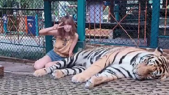 它要真想收拾你 你躲那一厘米毫无意义