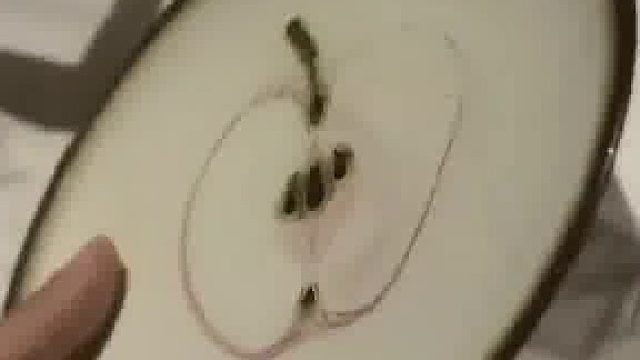 同事立志要赚够一千万存款才退休，女生看她买个碟子就花248元