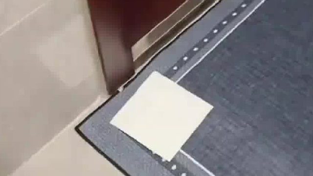中国好邻居地毯分我一半