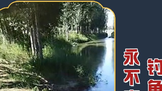 你小子不好好钓鱼净琢磨那没用的