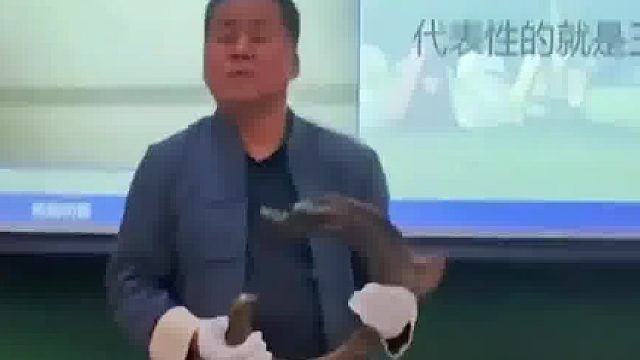 课堂宝藏揭秘记